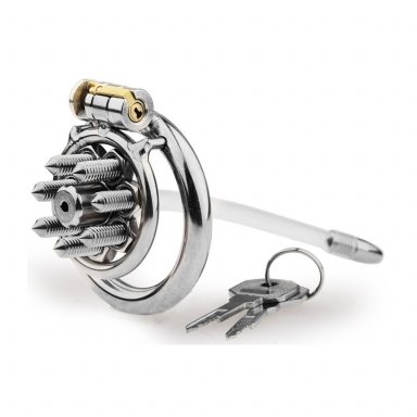 Cage with Chastipik Spikes and Rod