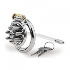 Cage with Chastipik Spikes and Rod 24398M4M Cage with Chastipik Spikes and Rod