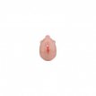 Chastity Cage with Harness 56003M4M Chastity Cage with Harness
