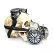 Gas Mask and Goggles Rivets Silver 29622 M4M Gas Mask and Goggles Rivets Silver
