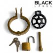 Locker Chastity Cage Black/Gold 140900DS Locker Chastity Cage Black/Gold