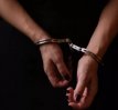 Stainless Steel Handcuffs 3947ME Stainless Steel Handcuffs