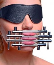 Total Silence Stainless Steel Mouth Gag